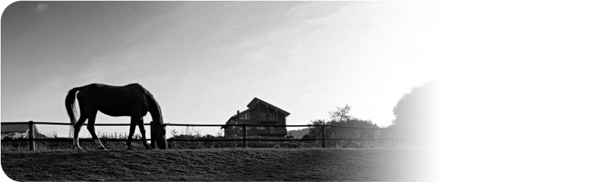 Pasze-Trociny.pl Opole